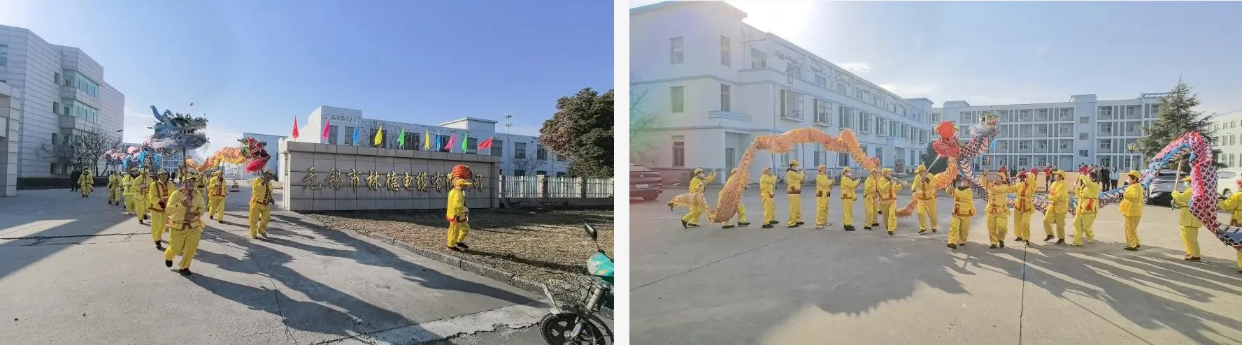 Start work in 2025, Dragon(1).jpg